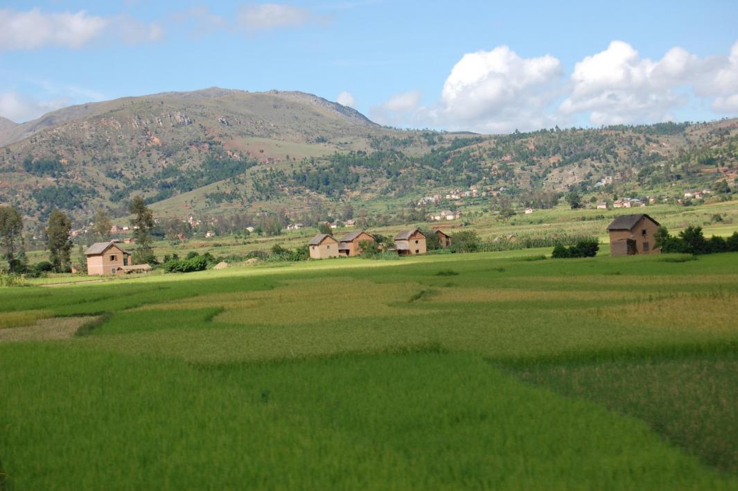 la campagne autour d'Antsirabé