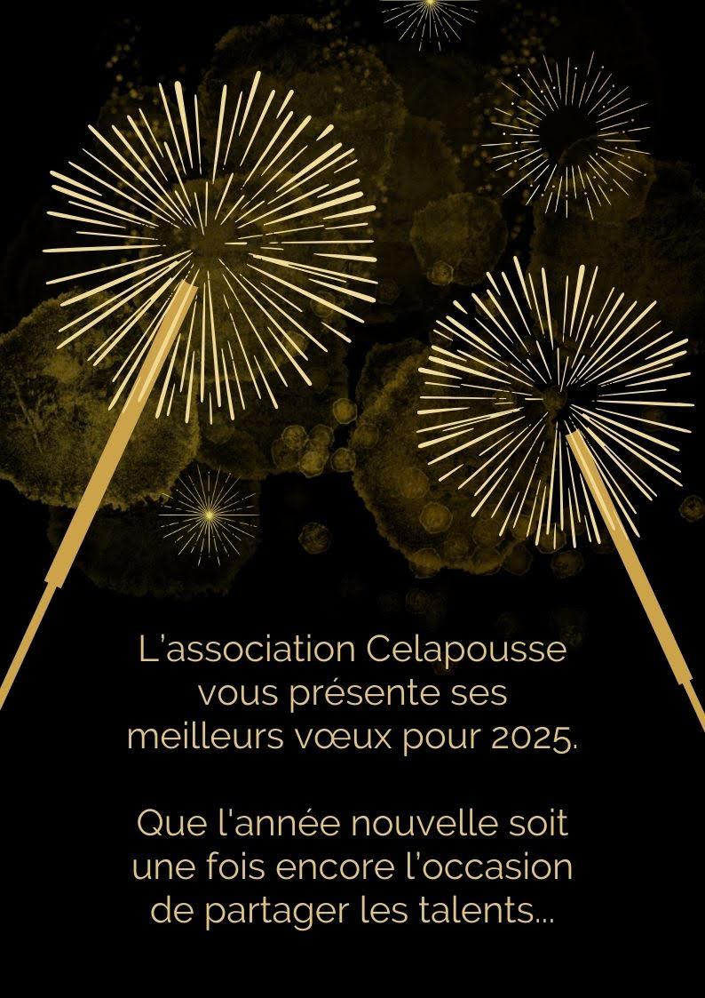 Voeux 2025